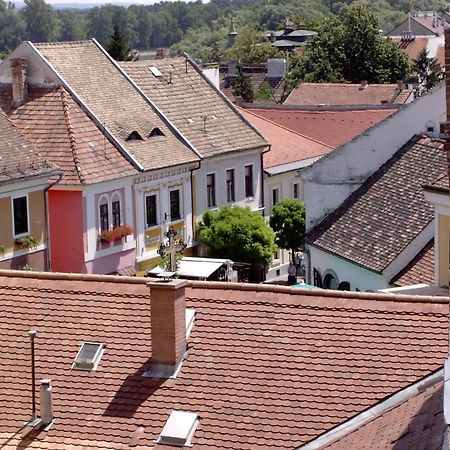 Nr 100 Szentendre Hotel Panzio Szolgaltatasok Eksteriør billede