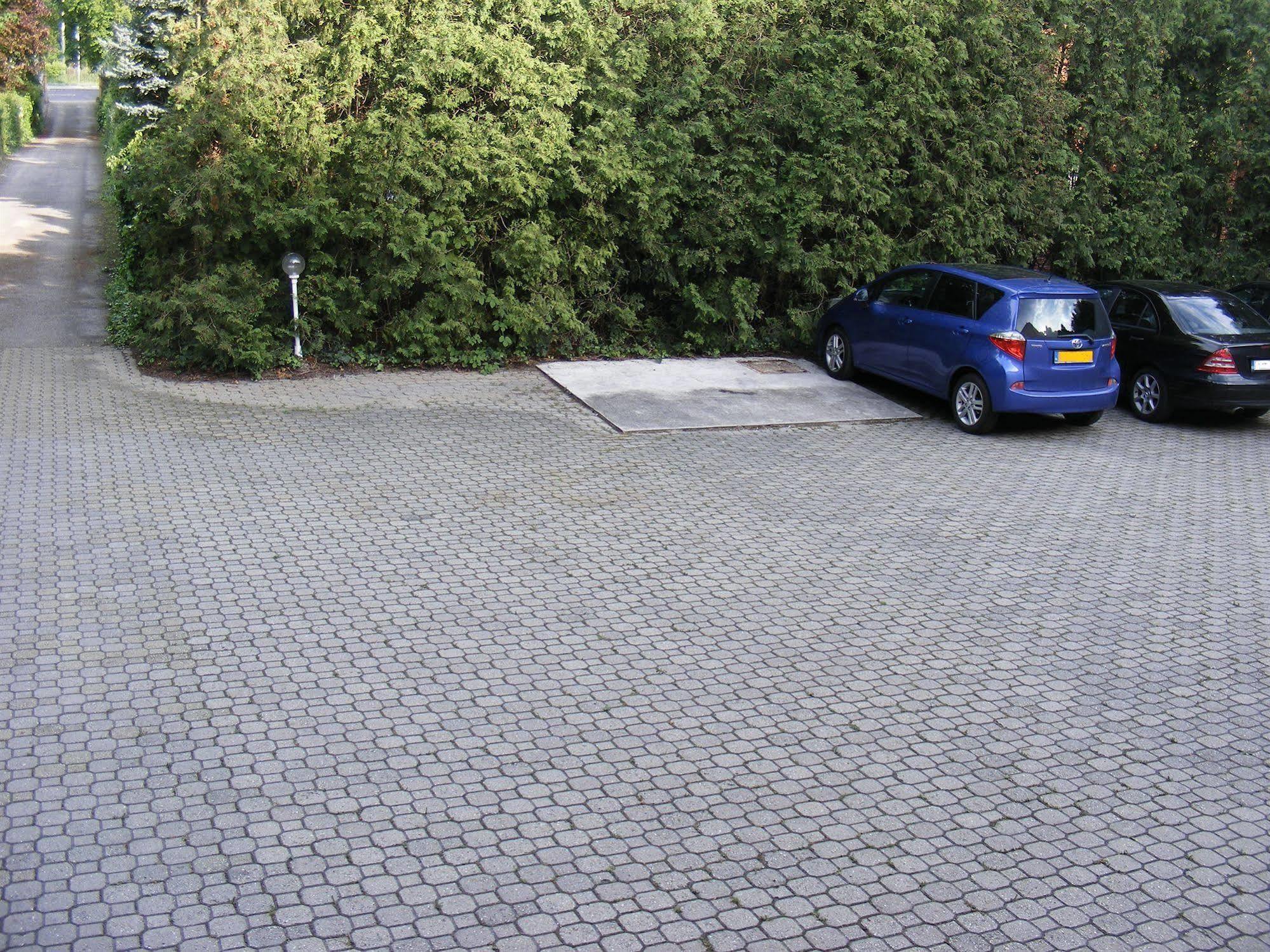 Nr 100 Szentendre Hotel Panzio Szolgaltatasok Eksteriør billede